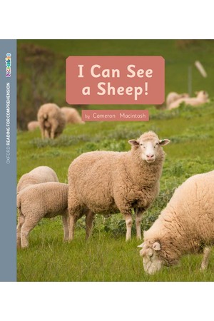 ORFC Oxford Decodable Book 20 - I Can See a Sheep! (Pack of 6)