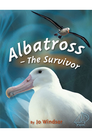 MainSails - Level 3: Albatross - The Survivor (Reading Level 28 / F&P Level S)