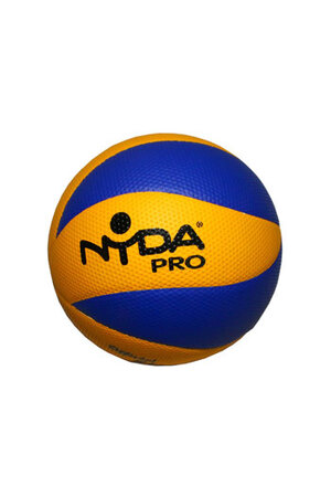 NYDA Pro Volleyball