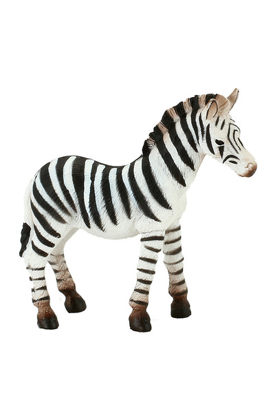 Zebra - Foal (Medium)