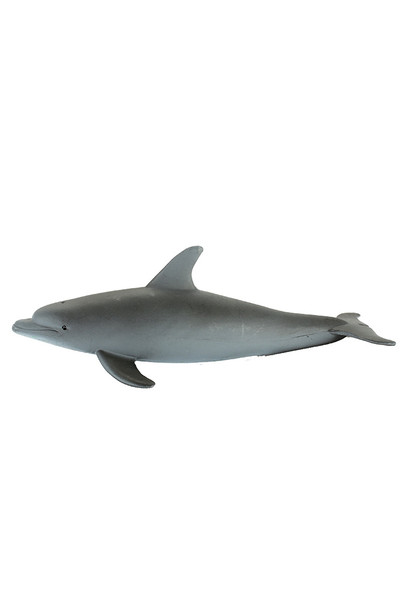 Dolphin (Medium)
