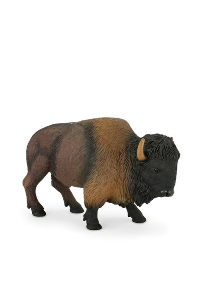 American Bison / Buffalo (Large)