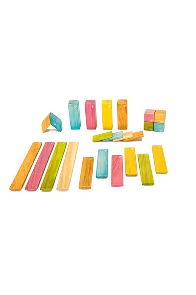 Magnetic Wooden Blocks - Tints (24 Pieces)
