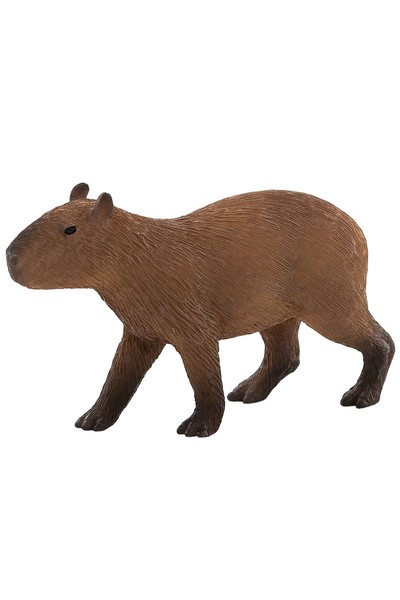 Capybara (Medium)
