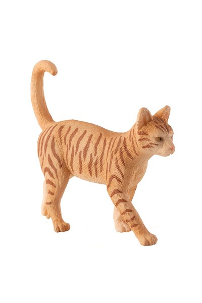 Ginger Tabby Cat (Medium)