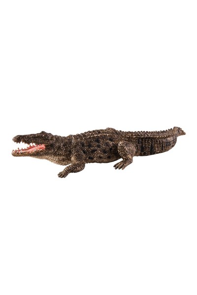 Alligator (Extra Large)