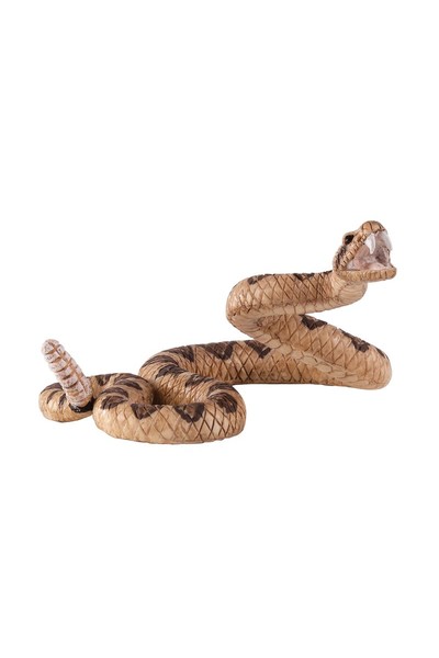 Rattlesnake (Medium)