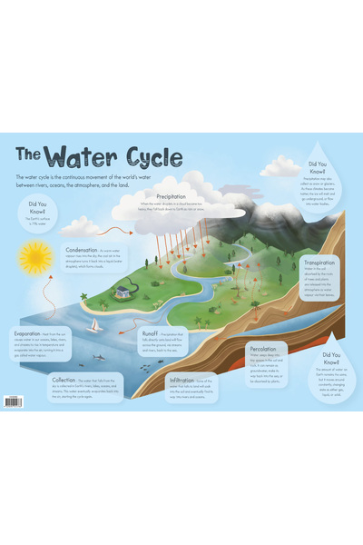 The Water Cycle Chart Australian Teaching Aids Educational Resources