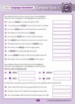 Excel - Year 5 - NAPLAN Style - Literacy Tests - Sample Pages - 11