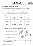 Excel Basic Skills - Science and Technology Years 1–2 - Sample Pages 4
