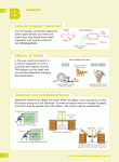 Excel Illustrated Science Dictionary Years 5–8 - Sample Pages 7