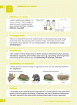Excel Illustrated Science Dictionary Years 5–8 - Sample Pages 9