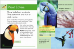 Go Facts Animals - Birds - Sample Page