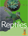 Go Facts Animals - Reptiles