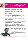 Go Facts Animals - Reptiles - Sample Page