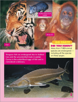 Go Facts - Environmental Issues - Endangered Animals - Sample Page