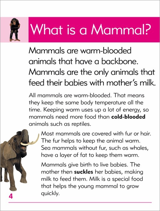 Go Facts - Animals: Mammals - Blake Education Educational Resources and  Supplies - Teacher Superstore