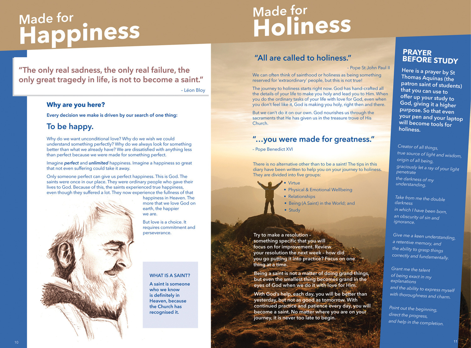 opinion essay about advertising lifelong learning
