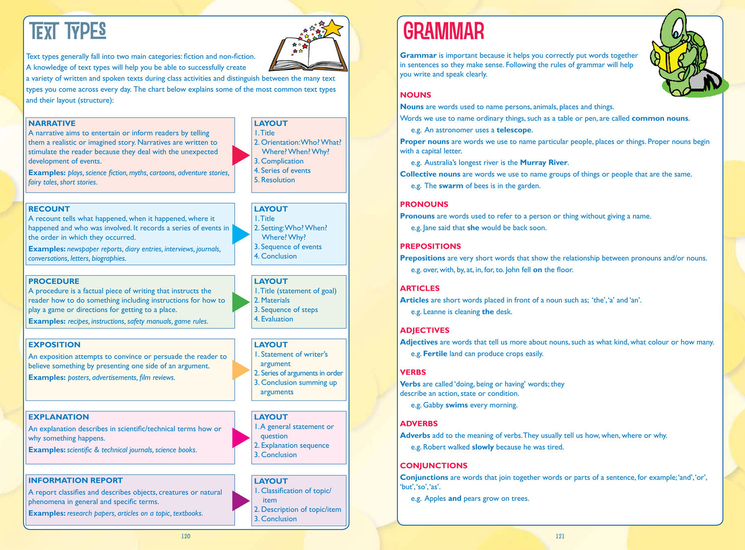 essay the voice writing