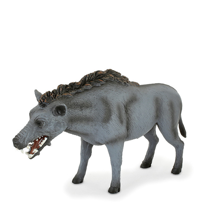 Entelodont Daeodon (Extra Large) - Animal Planet by Mojo Educational Resources and Supplies - Teacher Superstore Entelodont Daeodon (Extra Large) - Animal Planet by Mojo Educational Resources and Supplies - Teacher Superstore