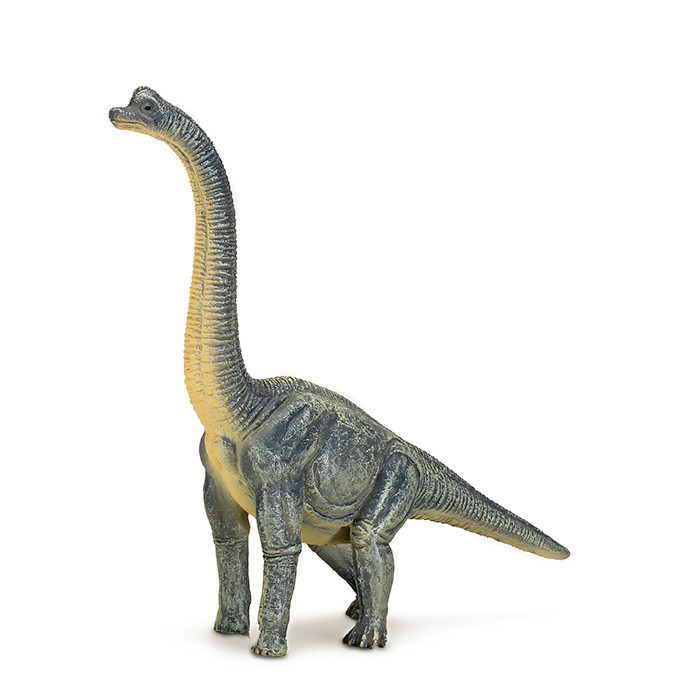 Brachiosaurus (XXL) - Animal Planet by Mojo Educational Resources and  Supplies - Teacher Superstore