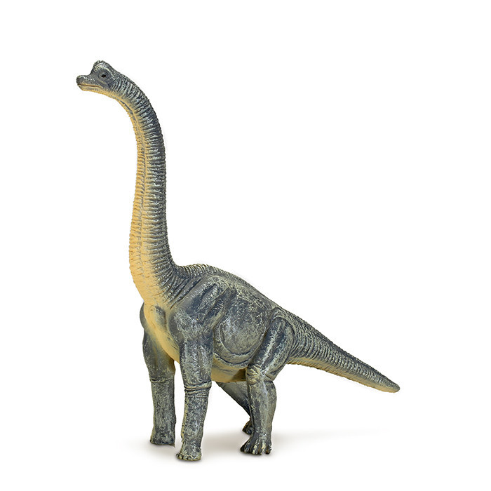 Brachiosaurus (XXL) - Animal Planet by Mojo Educational Resources and Supplies - Teacher Superstore Brachiosaurus (XXL) - Animal Planet by Mojo Educational Resources and Supplies - Teacher Superstore