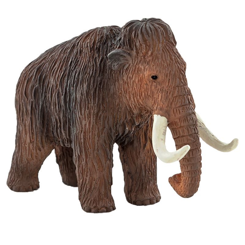 Mini Mammoth - Animal Planet by Mojo Educational Resources and Supplies -  Teacher Superstore