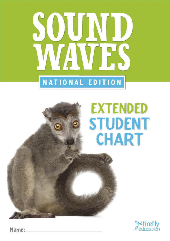 Sound Waves Student Chart
