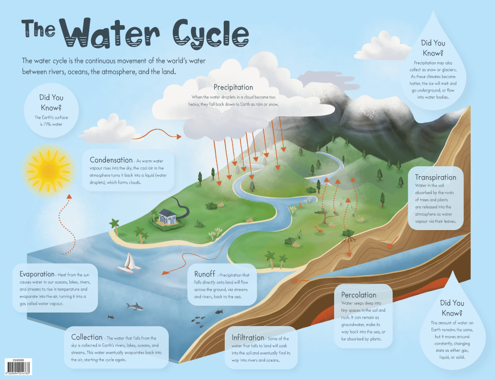 explanation text water cycle