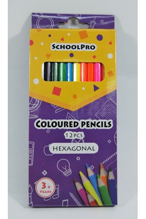Schoolpro Hexagon Pencil - Coloured (Box of 12)