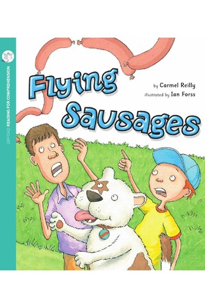 Oxford Reading for Comprehension - Level 4: Flying Sausages (Pack of 6)
