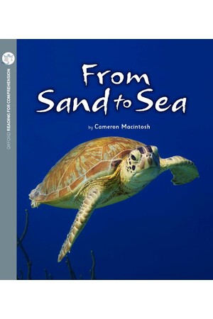 Oxford Reading for Comprehension - Level 5: From Sand to Sea (Pack of 6)