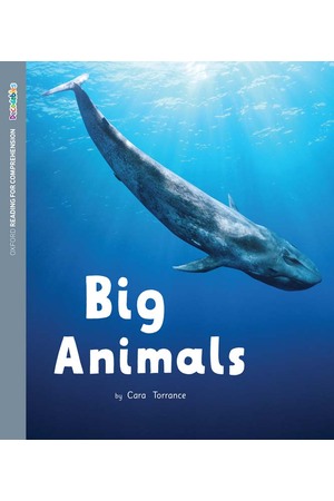 ORFC Oxford Decodable Book 46 - Big Animals (Pack of 6)