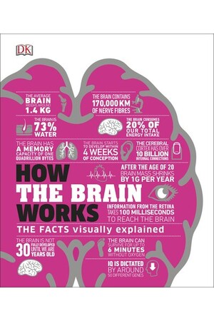 How the Brain Works