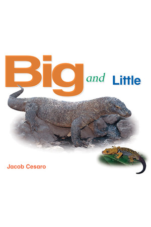 Rigby Literacy - Emergent Level 4: Big and Little (Reading Level 3 / F&P Level C)