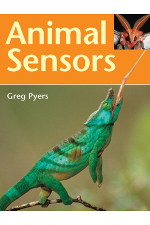 Rigby Literacy - Fluent Level 4: Animal Sensors (Reading Level 26 / F&P Level Q)