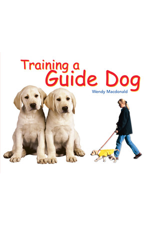 Rigby Literacy - Fluent Level 2: Training A Guide Dog (Reading Level 15 / F&P Level I)