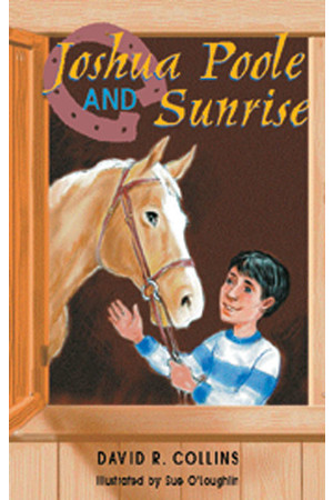 Rigby Literacy - Fluent Level 2: Joshua Poole and Sunrise (Reading Level 15-19 / F&P Level I-K)