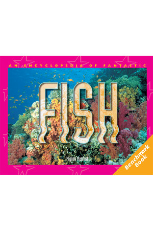 Rigby Literacy - Fluent Level 2: An Encyclopedia of Fantastic Fish (Reading Level 19 / F&P Level K)