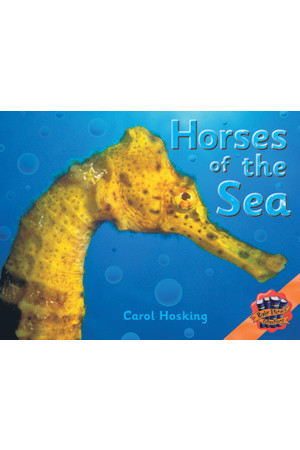 Rigby Literacy Collections - Level 4, Phase 5: Horses of the Sea (Reading Level 29-30 / F&P Levels T-U)
