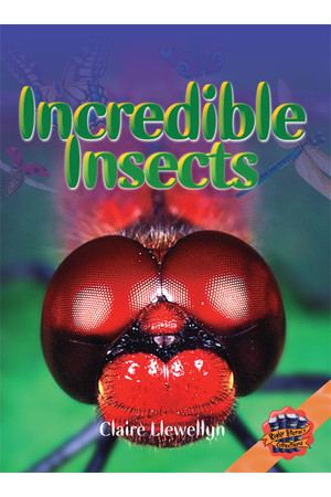 Rigby Literacy Collections - Level 4, Phase 6: Incredible Insects (Reading Level 30+ / F&P Level V-Z)