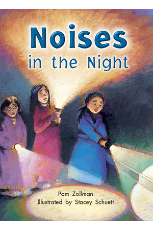 Rigby Literacy Collections (Take-Home Library) - Middle Primary: Noises in the Night (Reading Level 22 / F&P Level M)