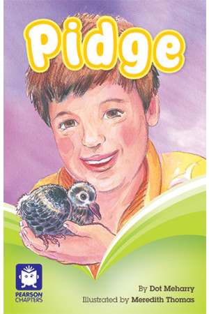 Pearson Chapters - Year 2: Pidge (Reading Level 19-20 / F&P Level K)