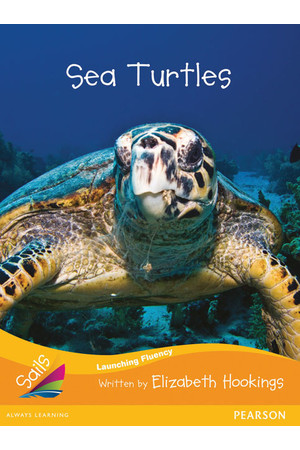 Sails - Additional Fluency (Orange):Sea Turtles (Reading Level 16 / F&P Level I)