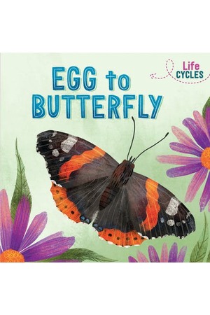 Life Cycles: Egg to Butterfly