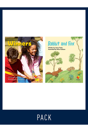 Flying Start to Literacy: Guided Reading - Winners & Rabbit - Level 3 (Pack 3)