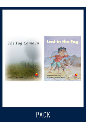 Flying Start to Literacy: Guided Reading - The Fog Came In & Lost in the Fog - Level 4 (Pack 4)