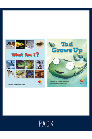 Flying Start to Literacy: Guided Reading - What Am I? & Tad Grows Up - Level 6 (Pack 3)