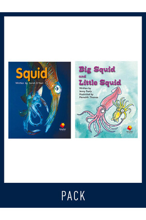Flying Start to Literacy: Guided Reading - Squid & Big Squid - Level 7 (Pack 4)