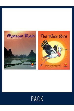 Flying Start to Literacy: Guided Reading - Monsoon Rain & The Wise Bird - Level 14 (Pack 4)